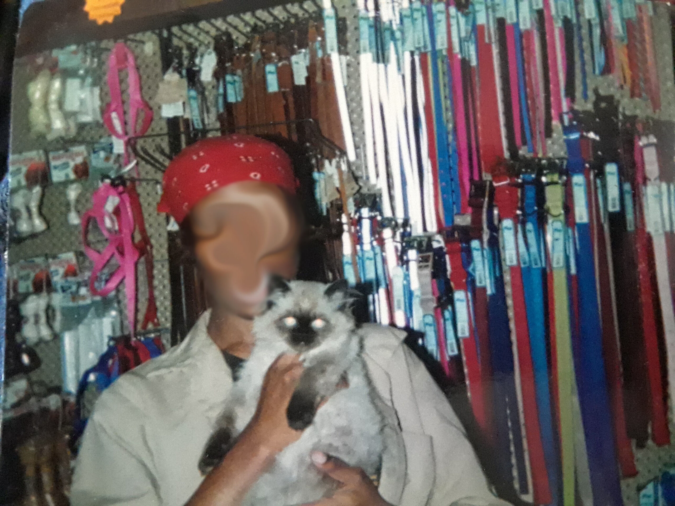 When you were five, what did you want to be when you grew up?